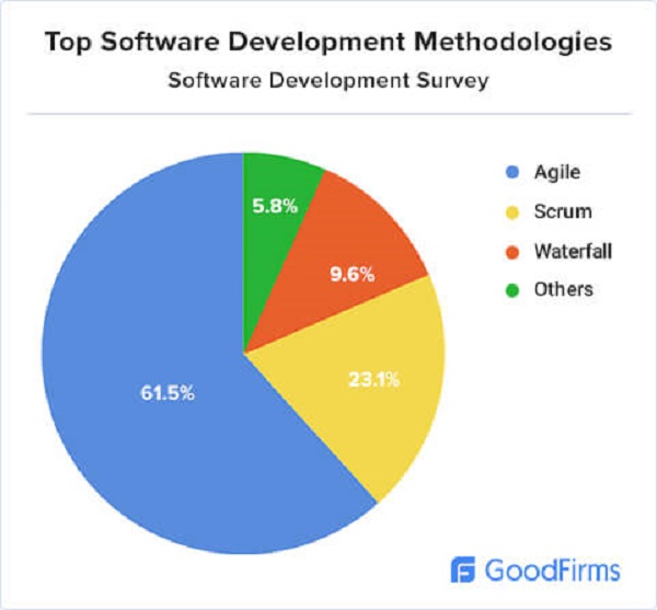 custom software development