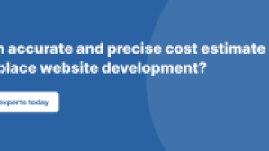 Want an accurate and precise cost estimate for marketplace website development